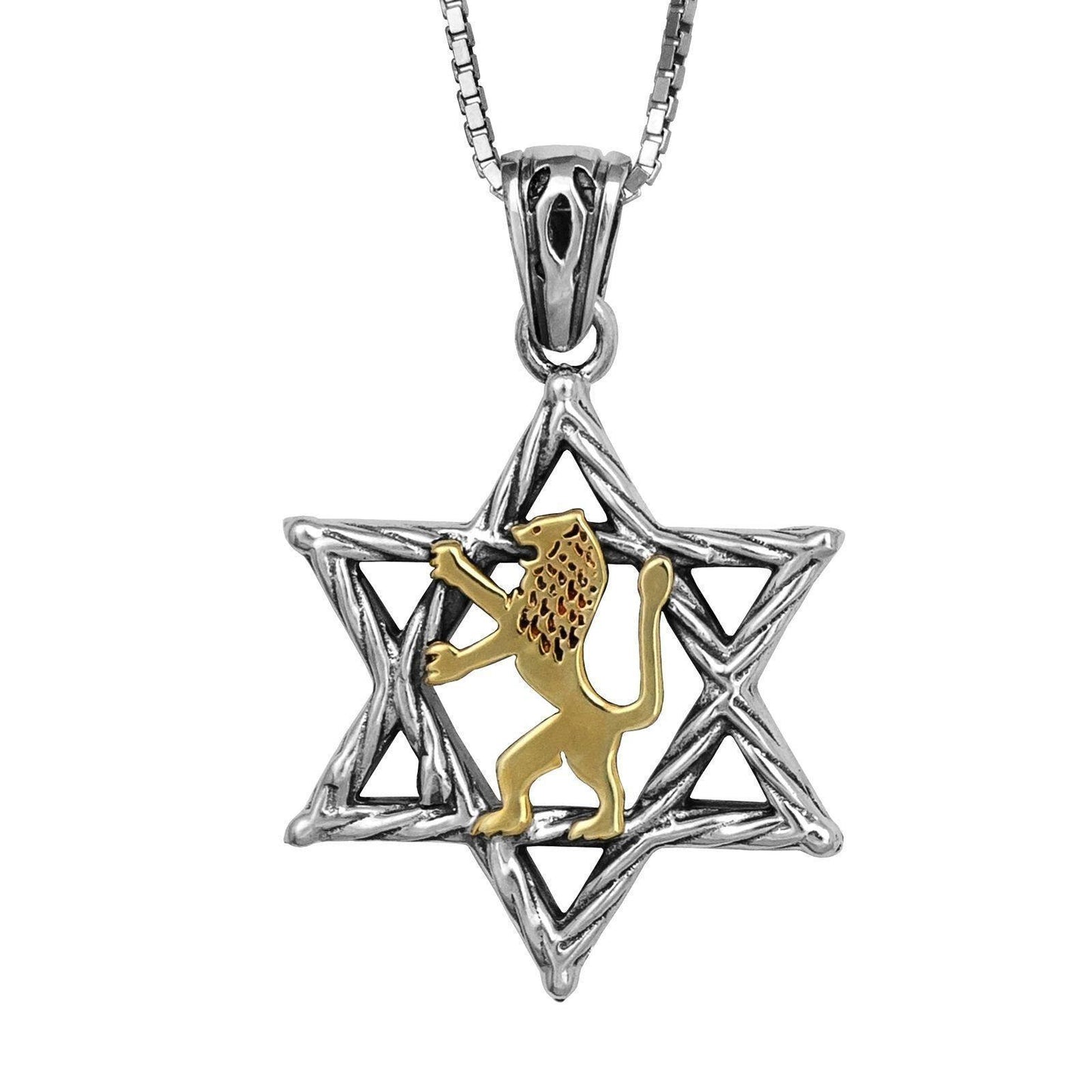 Kabbalah Amulets Pendant Star of David and Jerusalem Lion of Judah Sterling Silver & Gold 9K - bluewhiteshop