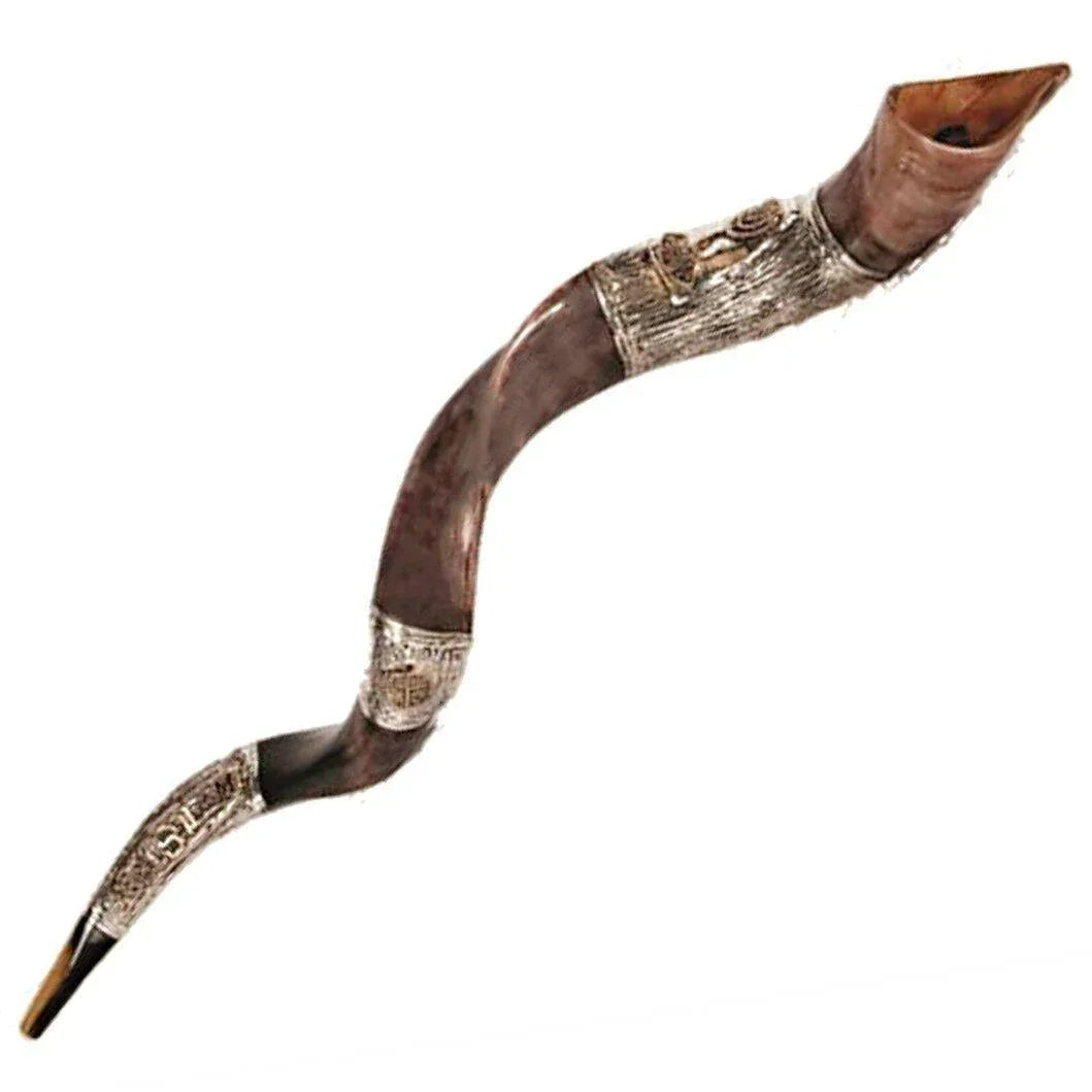 Natural Kosher Silver Plated Yemenite Shofar Kudu Horn 80-89 cm - bluewhiteshop