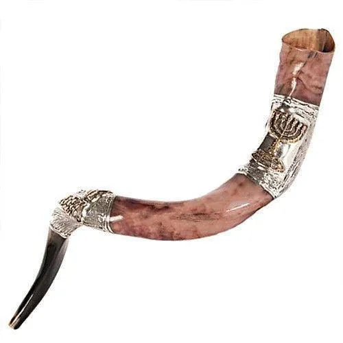 Natural Kosher Yemenite Shofar Kudu Horn Silver Plated 100-109 cm - bluewhiteshop