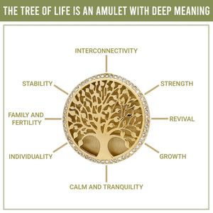 The main meanings of the Tree of Life symbol
