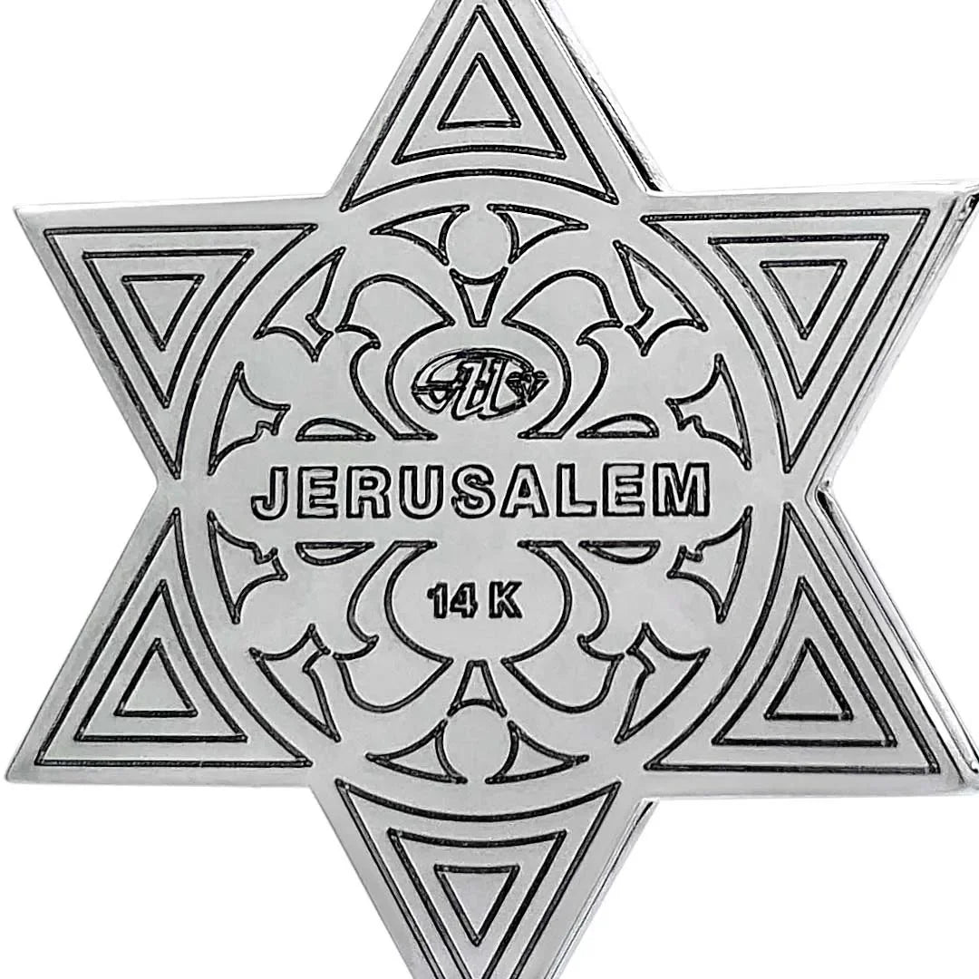 14K White Gold Star of David Pendant with 109 Diamonds - Celestial Floral Design - bluewhiteshop