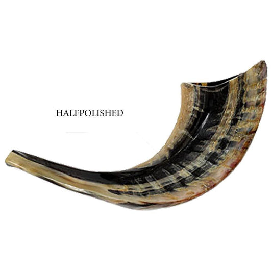 Half Polished Natural Kosher Jewish Shofar Ram Horn 15-24cm Israel - bluewhiteshop
