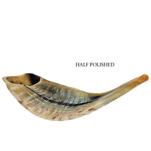 Half Polished Natural Kosher Jewish Shofar Ram Horn 25-29 cm Israel - bluewhiteshop