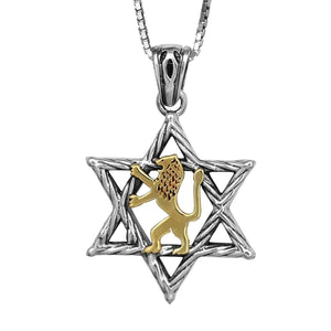 Kabbalah Amulets Pendant Star of David and Jerusalem Lion of Judah Sterling Silver & Gold 9K - bluewhiteshop