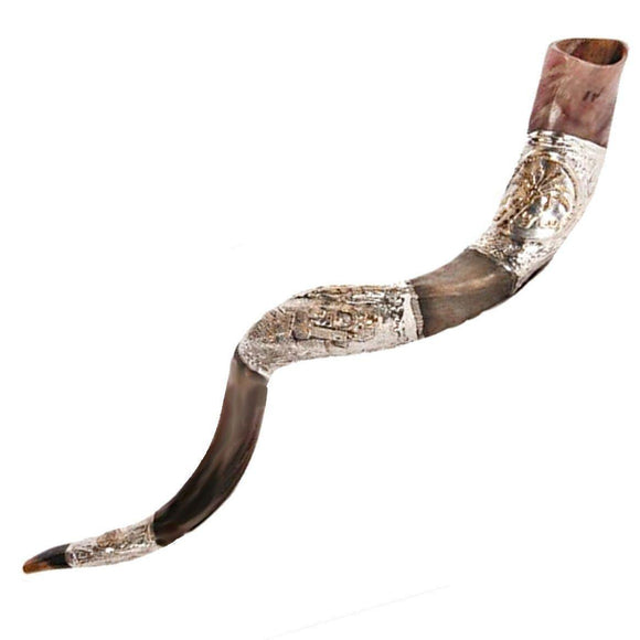 Kosher Natural Yemenite Shofar Kudu Horn Silver Plated 100-109 cm - bluewhiteshop