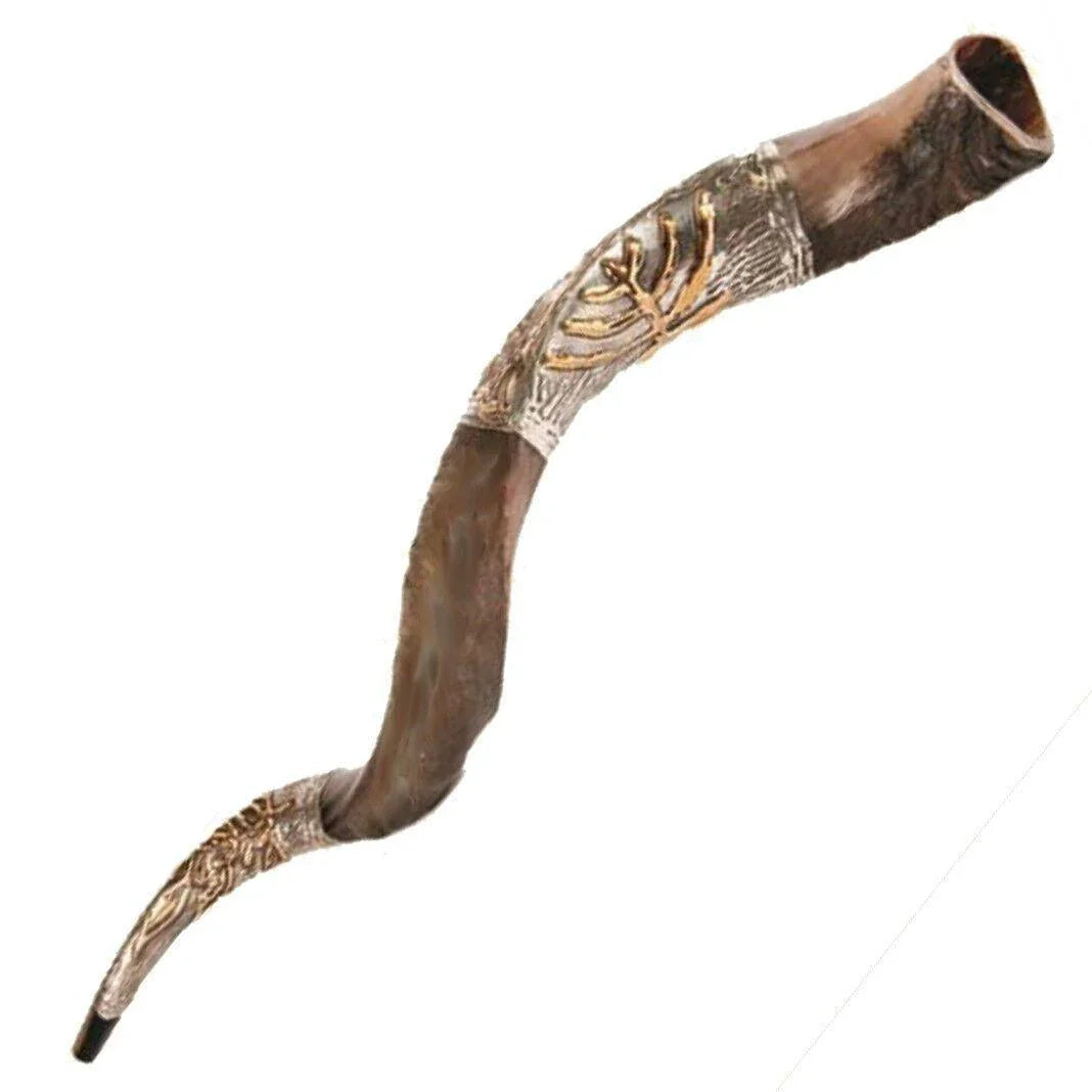 Kosher Yemenite Natural Shofar Kudu Horn Silver Plated 70-79 cm Israel - bluewhiteshop