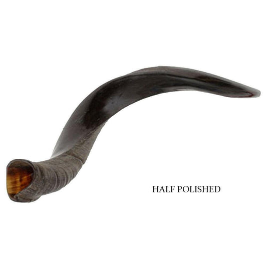 Natural Kosher Half-Polished Yemenite Shofar Kudu Horn 40-49 cm Israel - bluewhiteshop