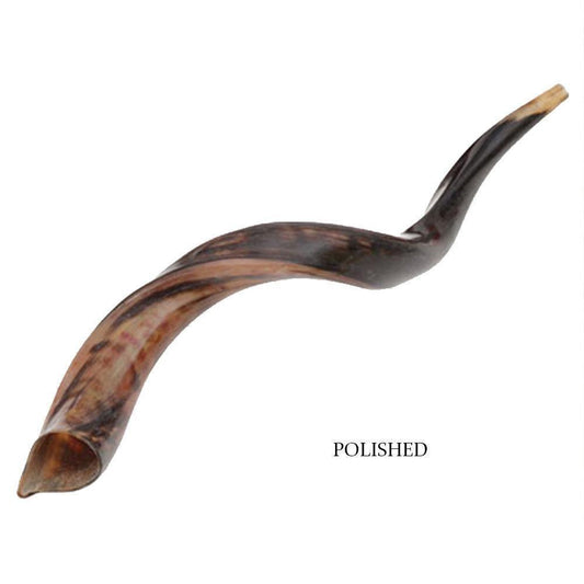 Natural Kosher Polished Yemenite Shofar Kudu Horn 40-49cm Israel - bluewhiteshop