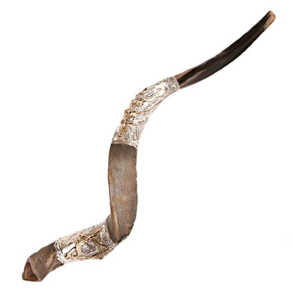 Natural Kosher Silver Plated Yemenite Shofar Kudu Horn 80-89 cm - bluewhiteshop