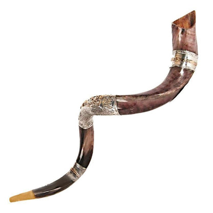 Natural Kosher Silver Plated Yemenite Shofar Kudu Horn 90-99 cm - bluewhiteshop