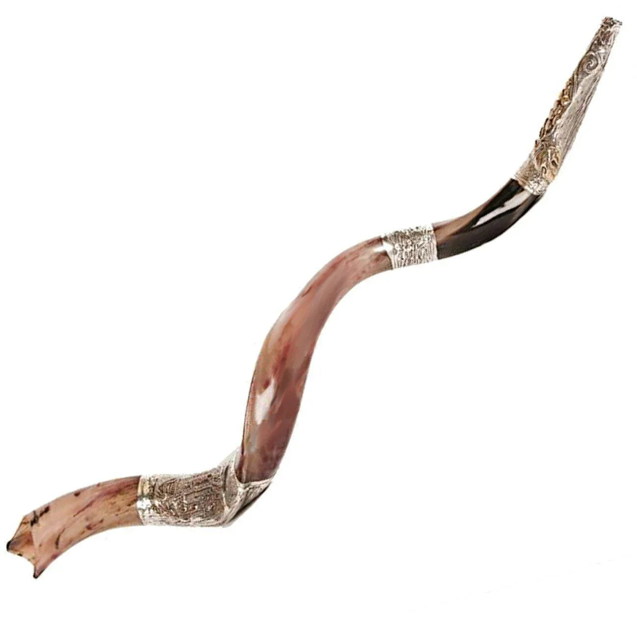 Natural Kosher Silver Plated Yemenite Shofar Kudu Horn 90-99 cm - bluewhiteshop