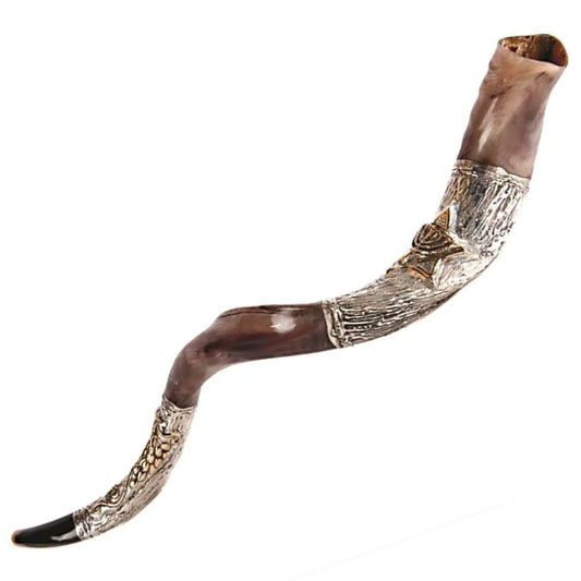 Natural Kosher Yemenite Shofar Kudu Horn Silver Plated 100-109 cm - bluewhiteshop