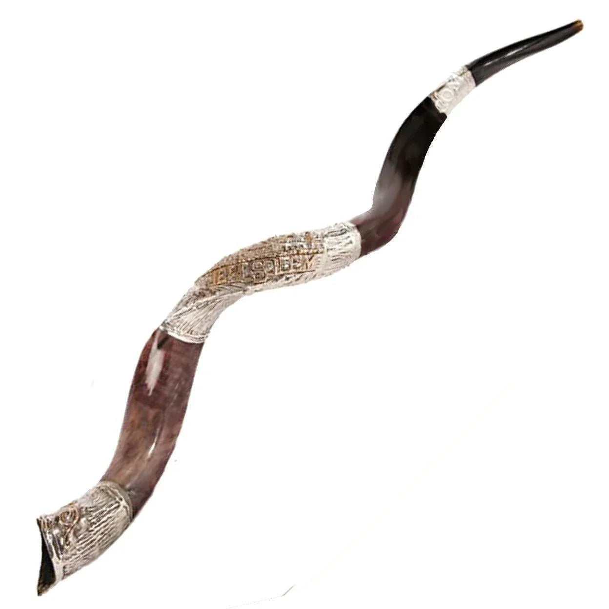 Natural Kosher Yemenite Shofar Kudu Horn Silver Plated 70-79 cm Israel - bluewhiteshop