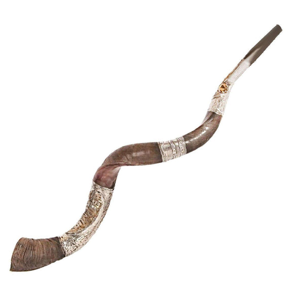 Natural Kosher Yemenite Shofar Kudu Horn Silver Plated 70-79 cm Israel - bluewhiteshop